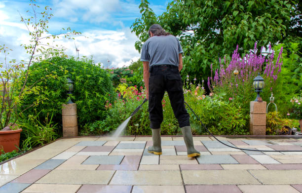 Best Animal Enclosure Cleaning  in Quitman, MS